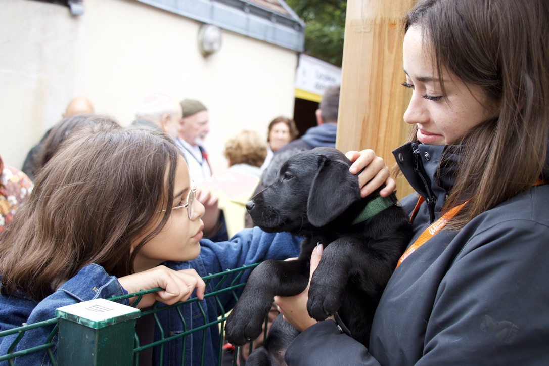 Une enfant caresse un chiot